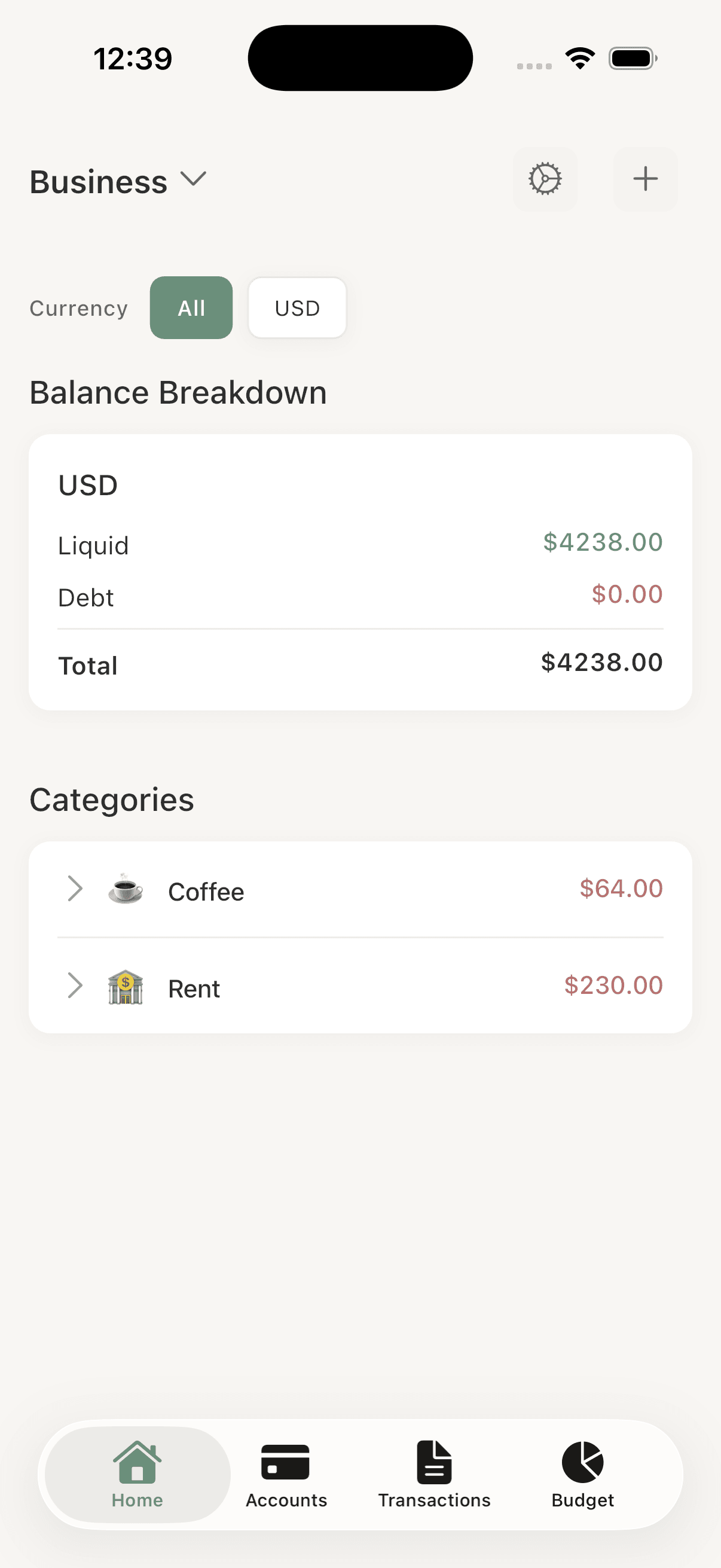 FYN envelope allocation screen on iPhone